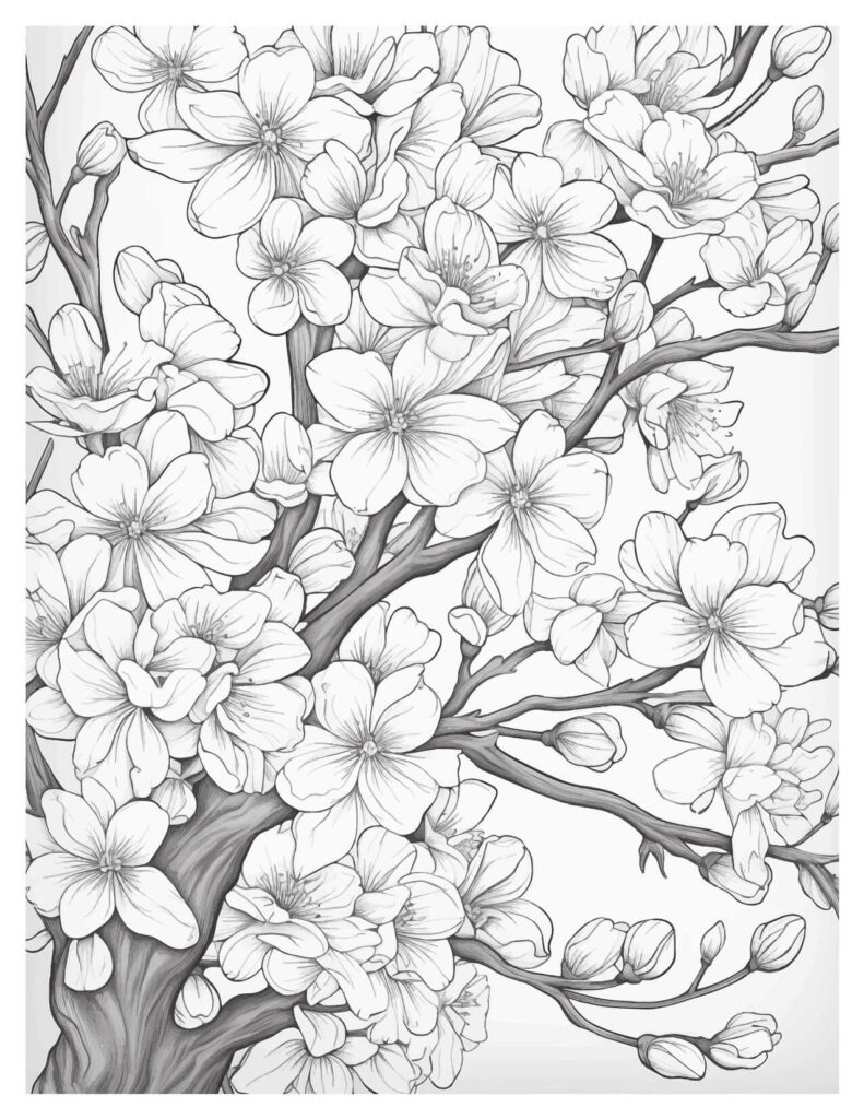  A Beautiful Cherry Blossom Tree cherry blossoms coloring pages