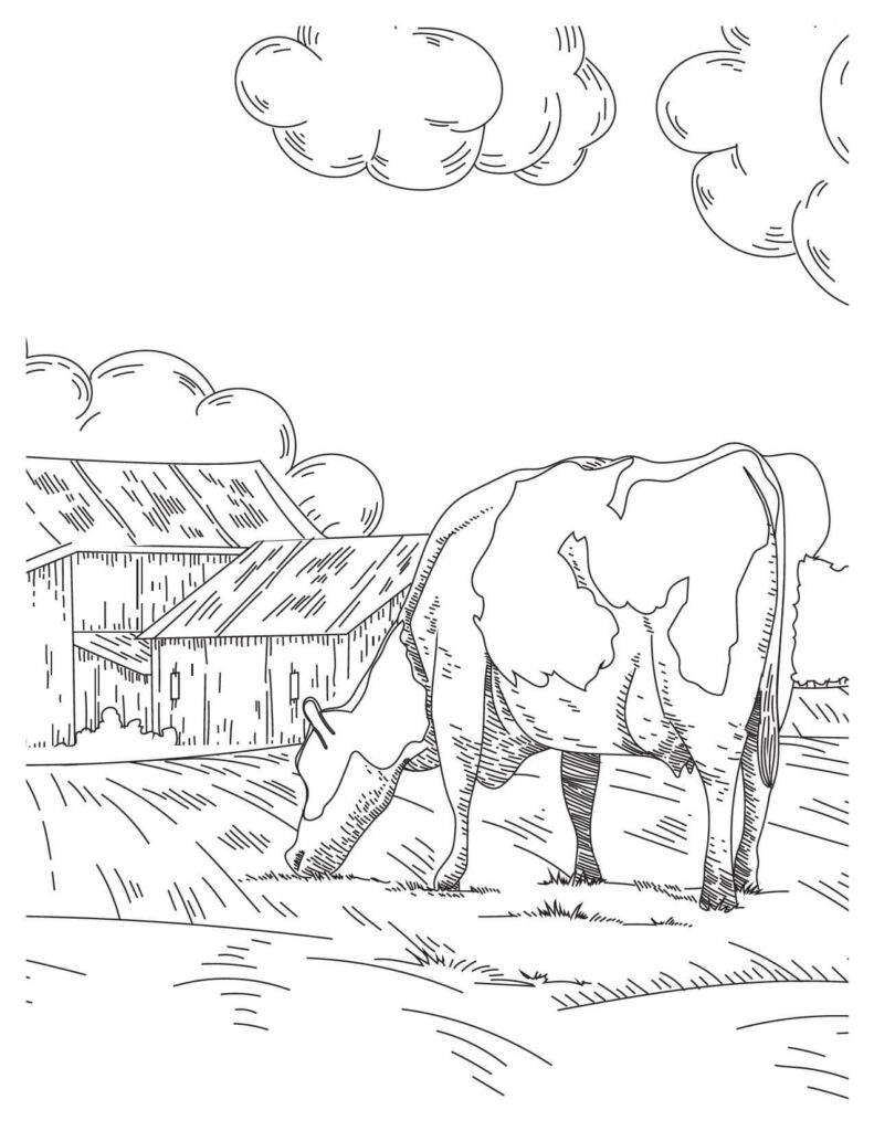 A Cow Is Grazing In cow coloring pages