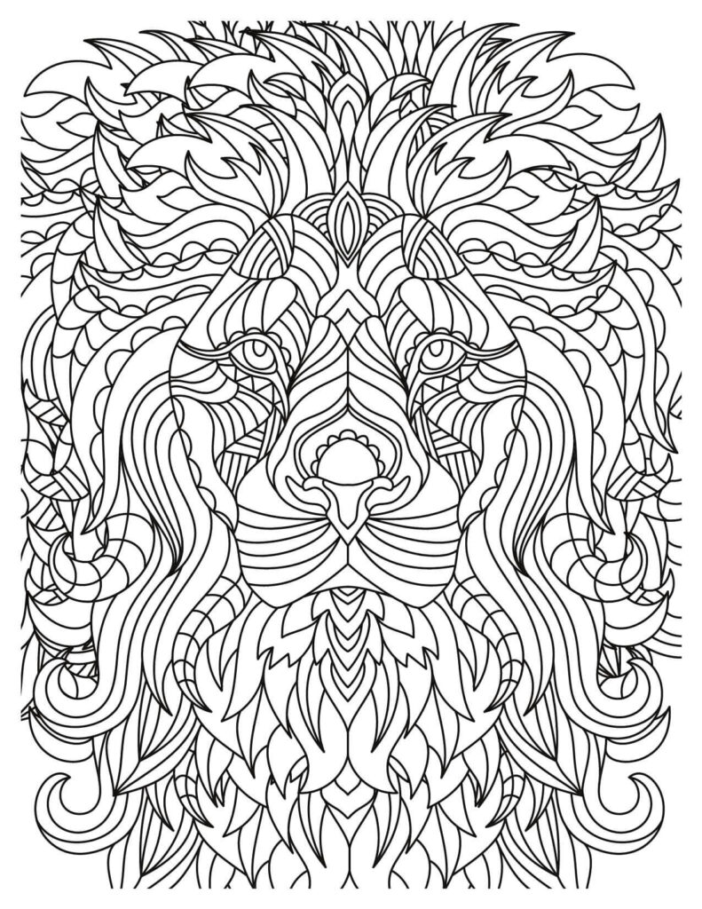  Abstract Lion Head Exotic Jungle Animal