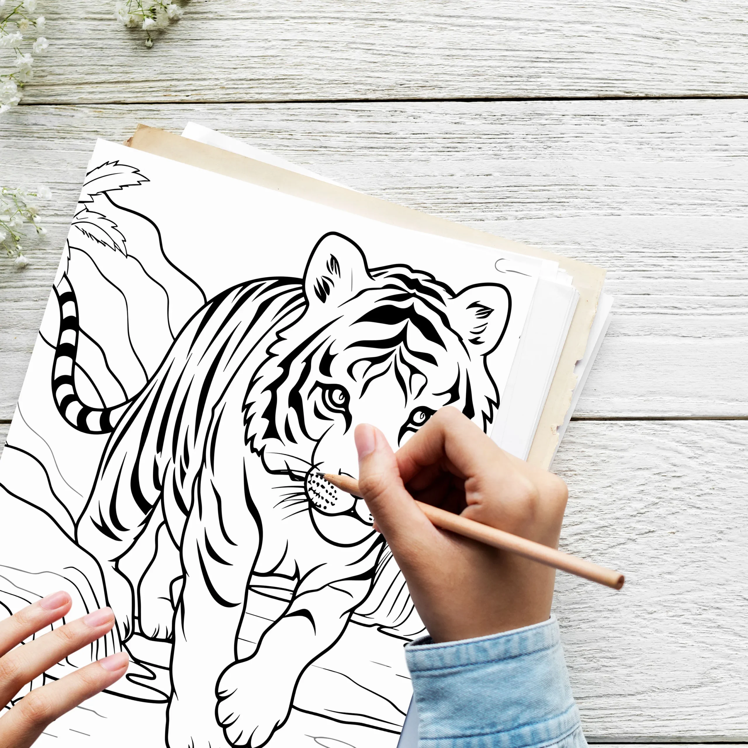 Baby Animal Coloring Pages