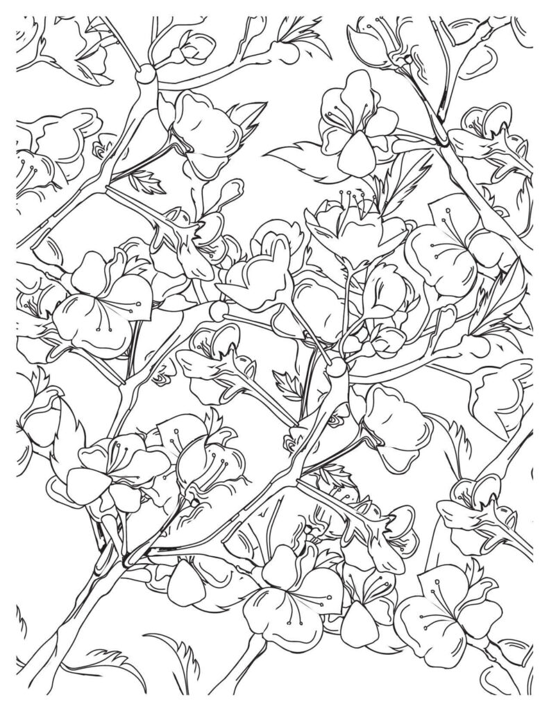 cherry blossoms coloring pages Crafted Floral Pattern