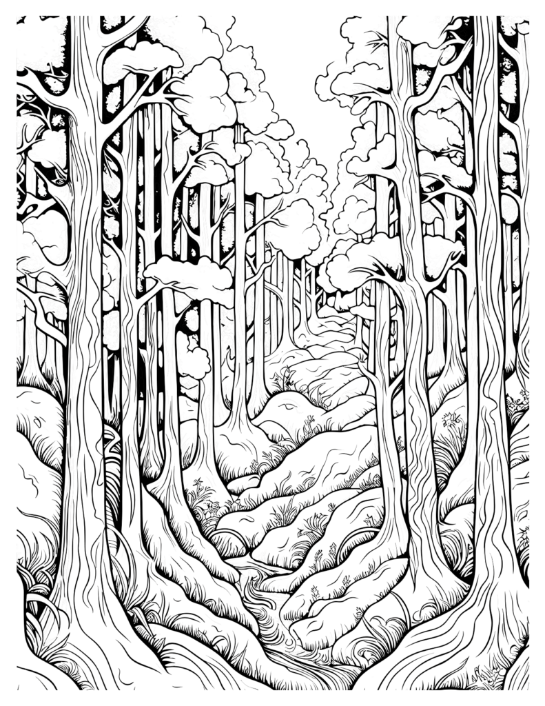  Beautifully Aligned Trees Redwood Forest Coloring Pages