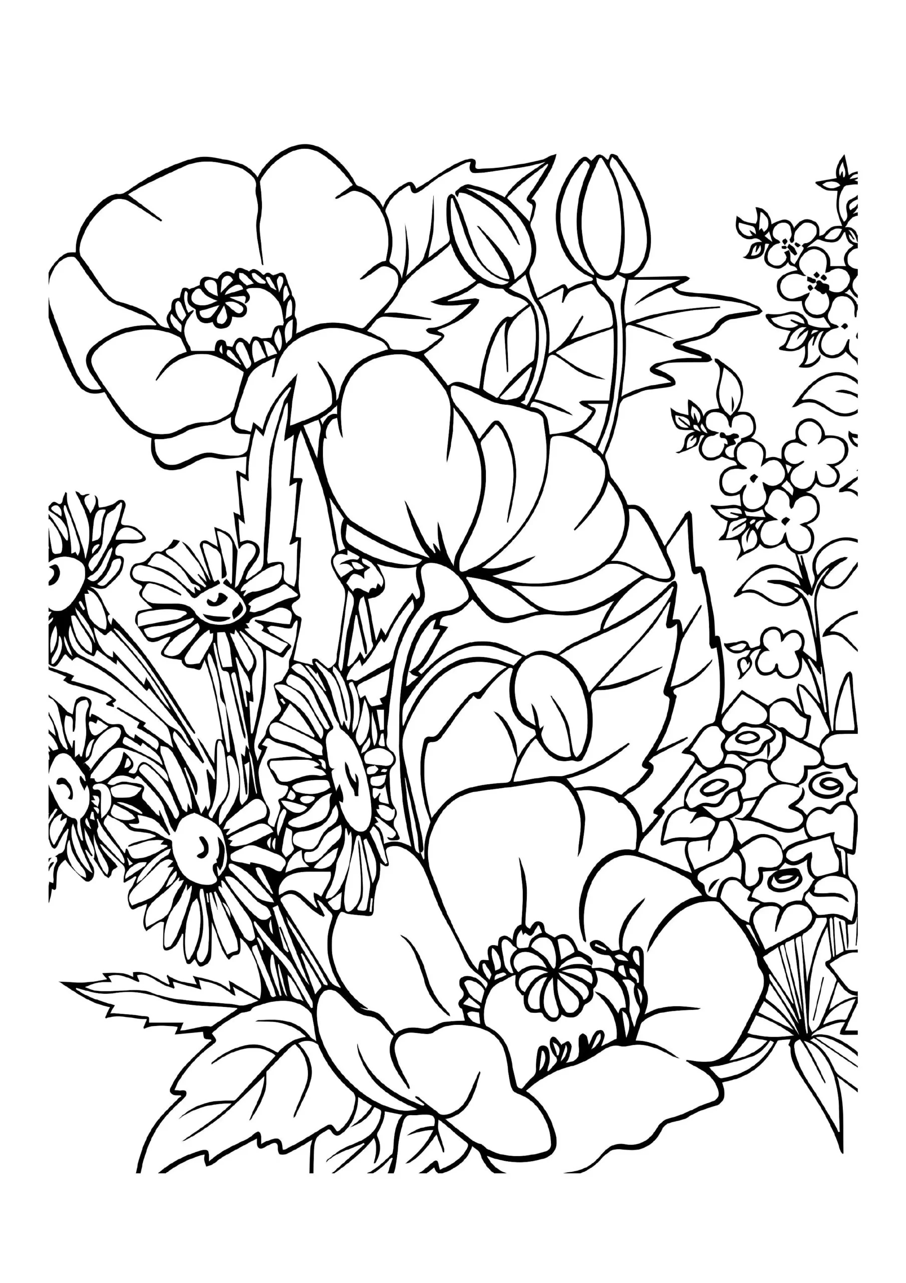 Boho Coloring Pages