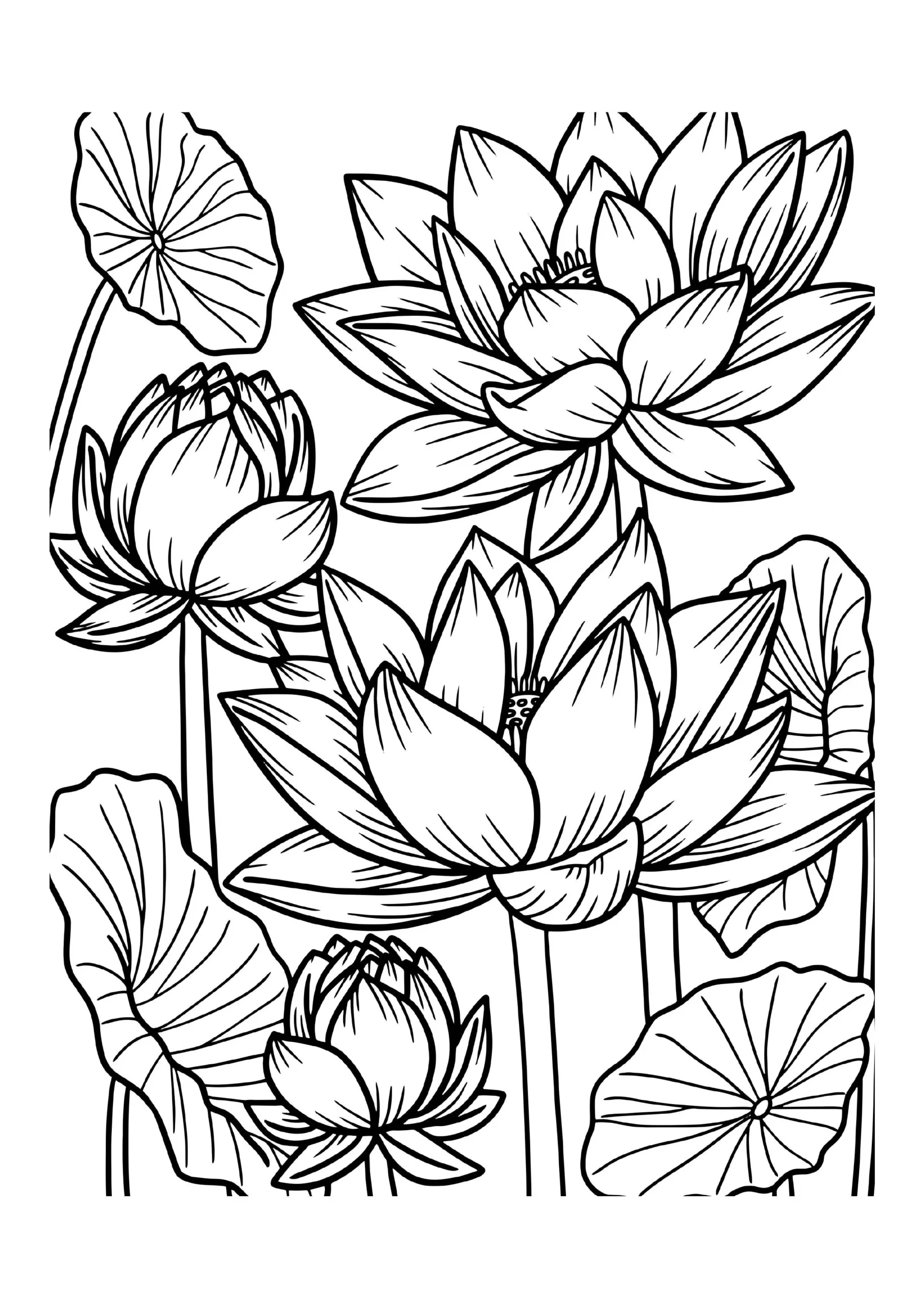 Boho Coloring Pages