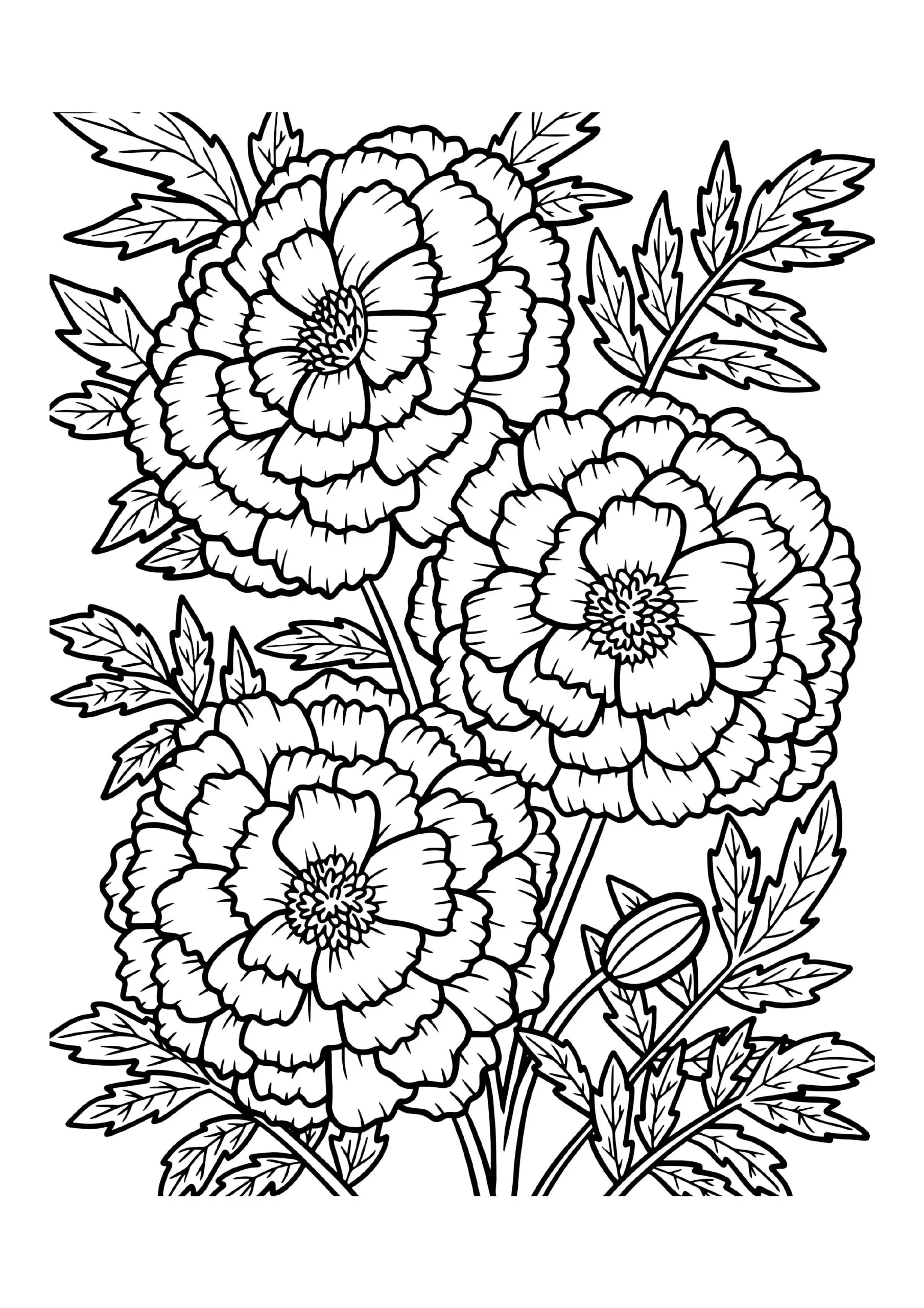 Boho Coloring Pages