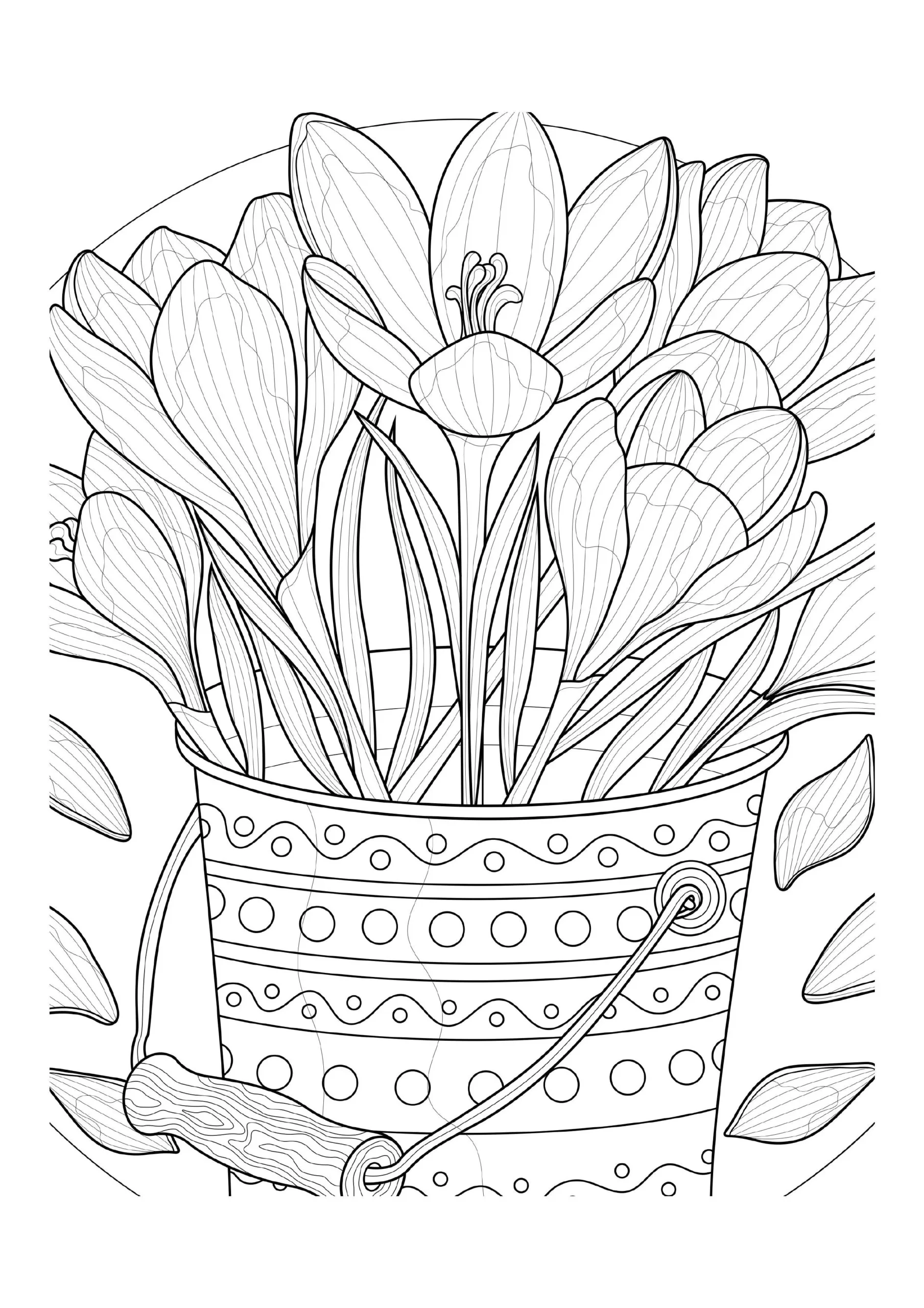 Boho Coloring Pages