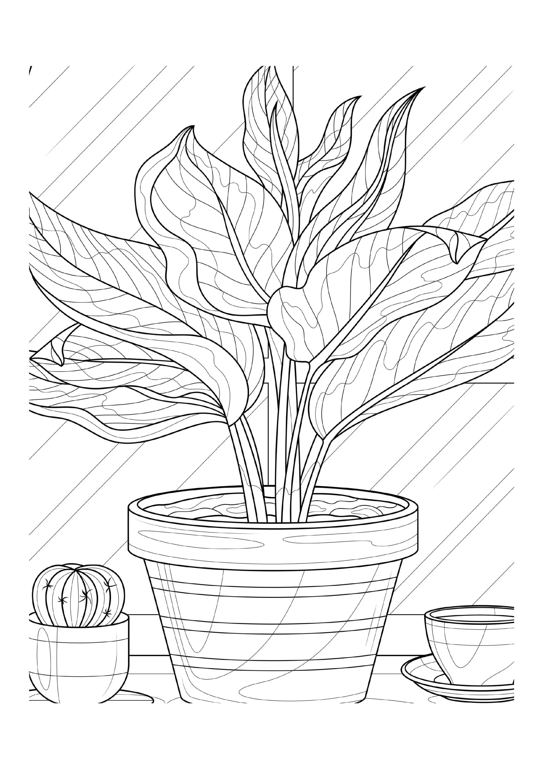 Boho Coloring Pages