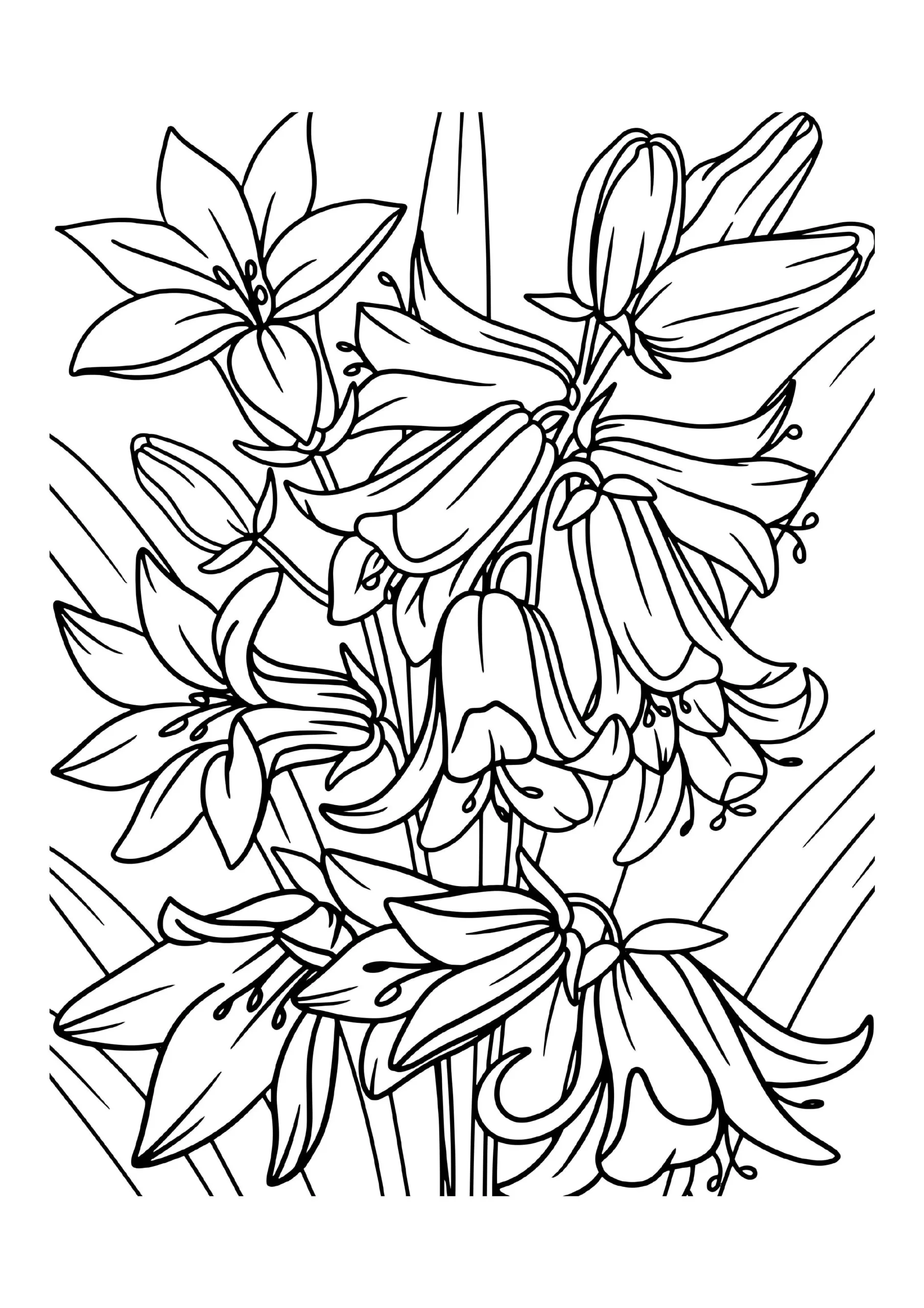 Boho Coloring Pages