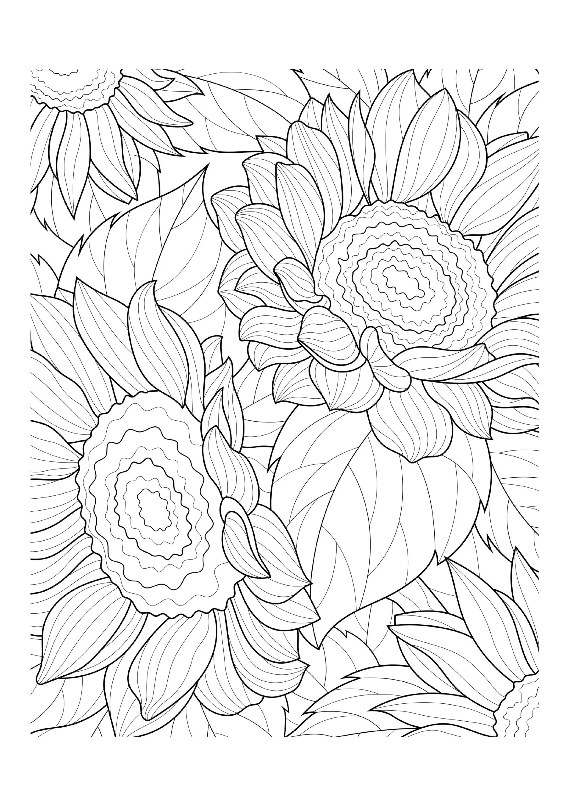 Boho Coloring Pages