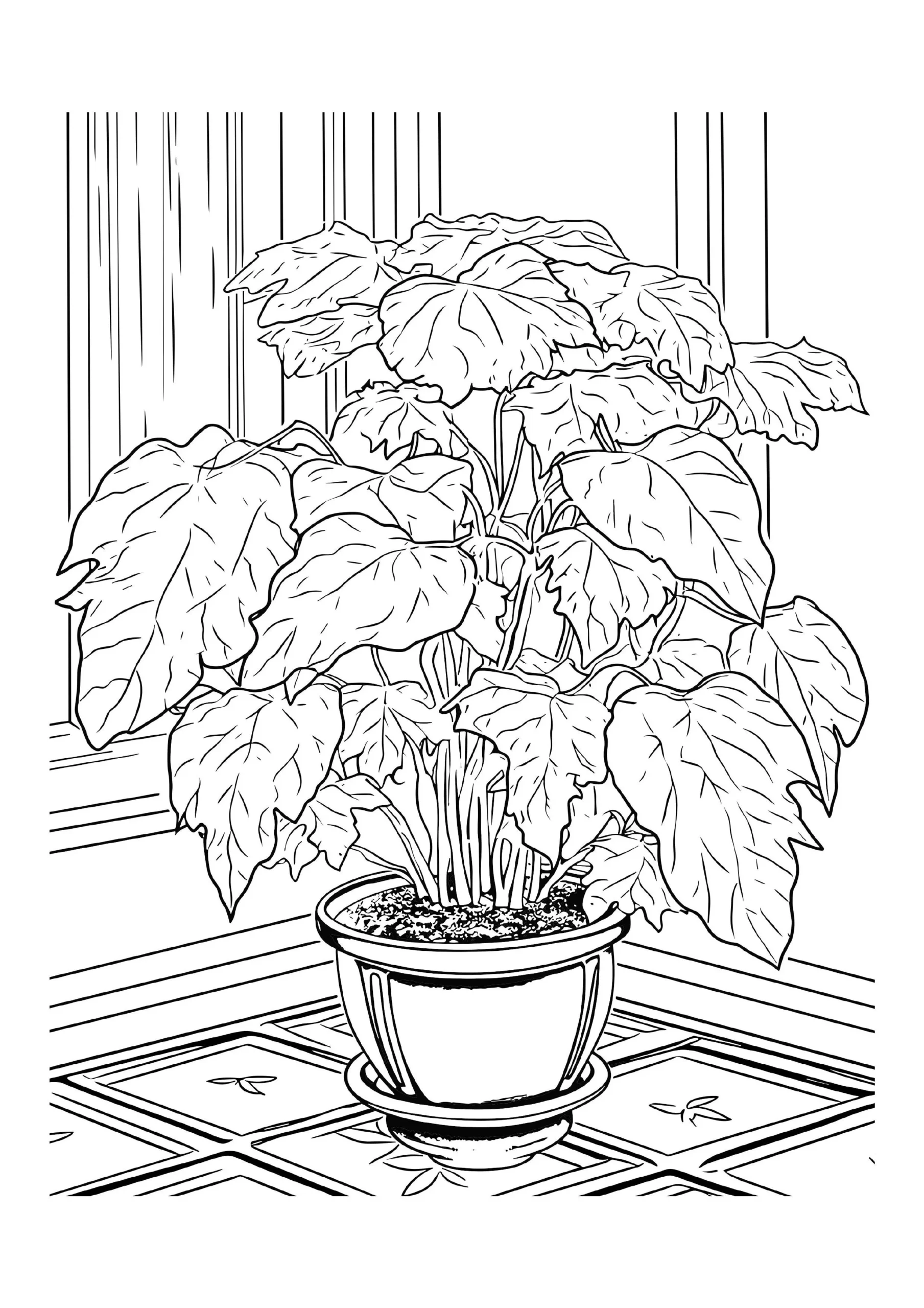  Potted Plant With Broad Leaves