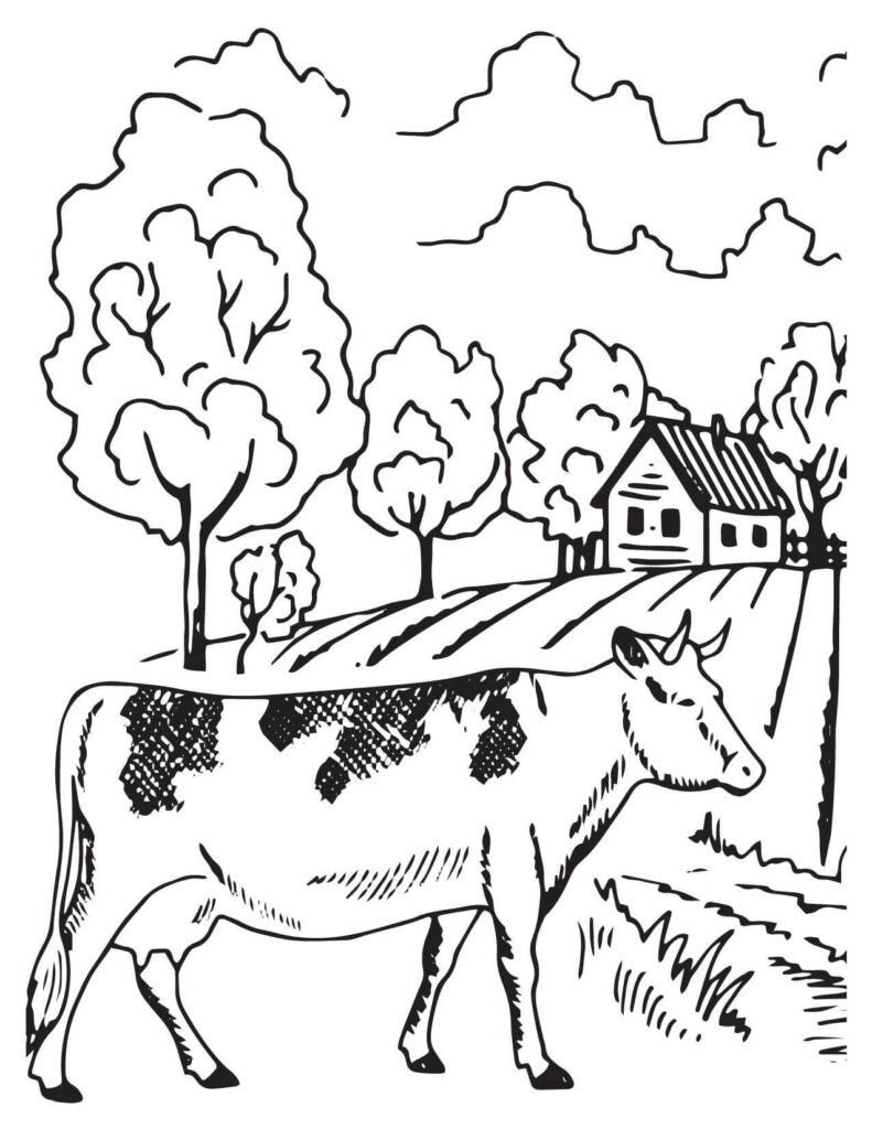  Cow Walking In Village cow coloring pages