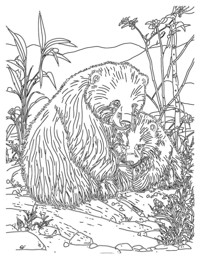 Cuddling Sloth Bears Forest Friend Coloring Pages