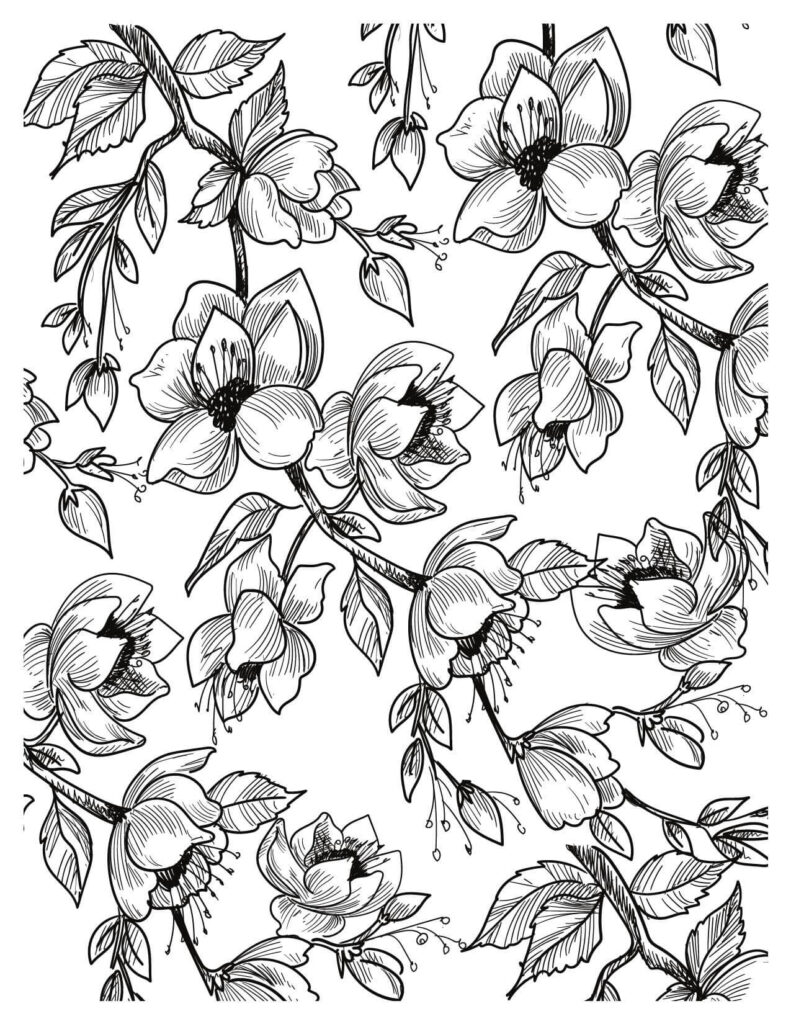 Decorative Floral Sketch cherry blossoms coloring pages