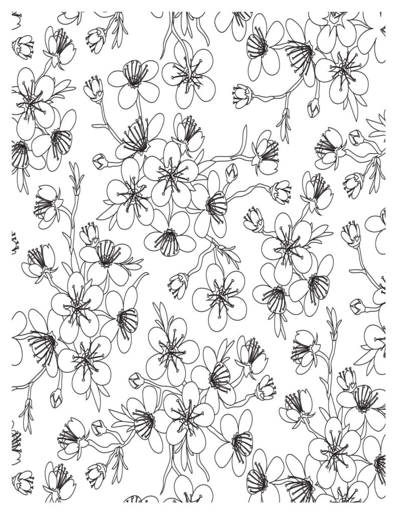 Floral Doodle cherry blossoms coloring pages