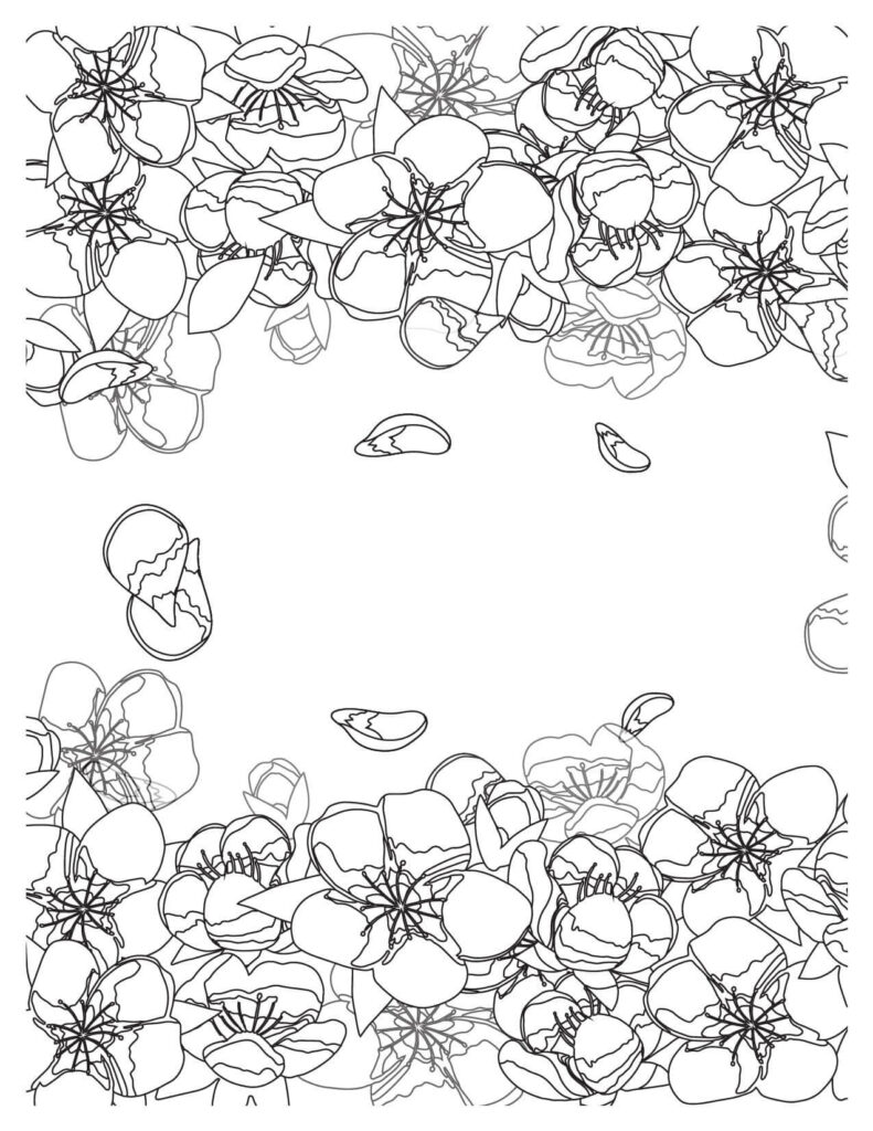 Flowers Falling Down cherry blossoms coloring pages