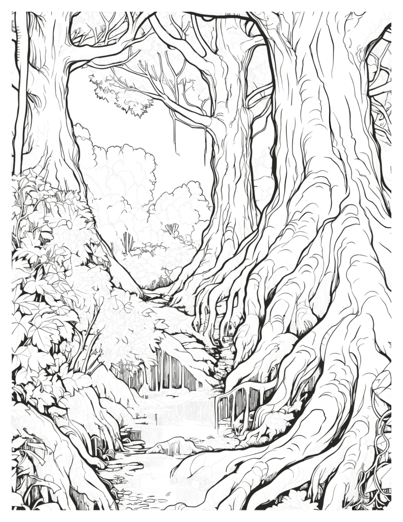 Giant Trees Redwood Forest Coloring Pages