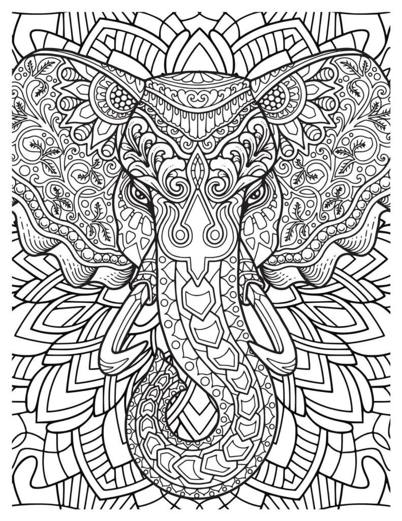  Large Elephant Head With Leafy Pattern Background