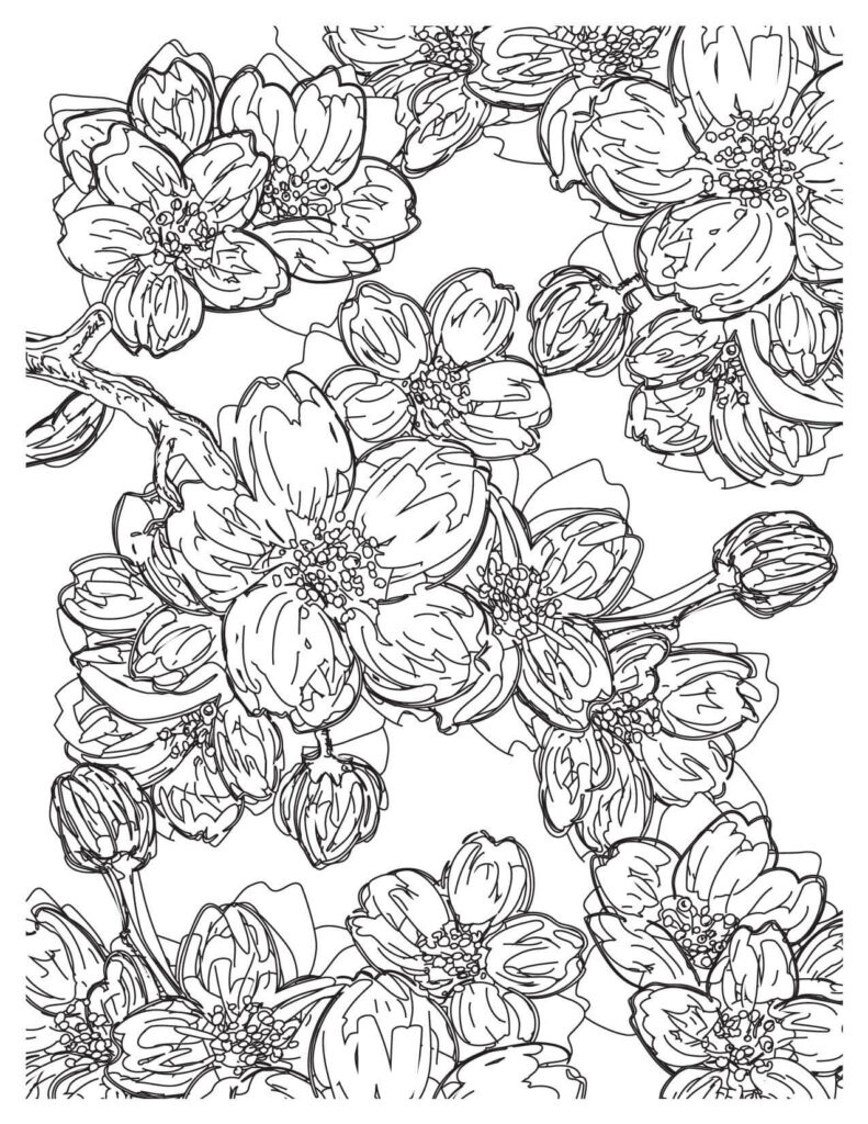 Charming cherry blossoms coloring pages