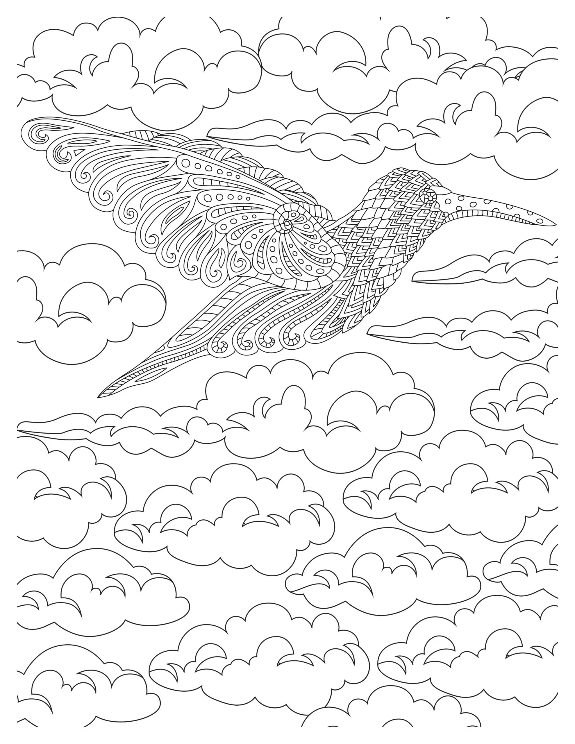 Lovely Hummingbird Coloring Pages