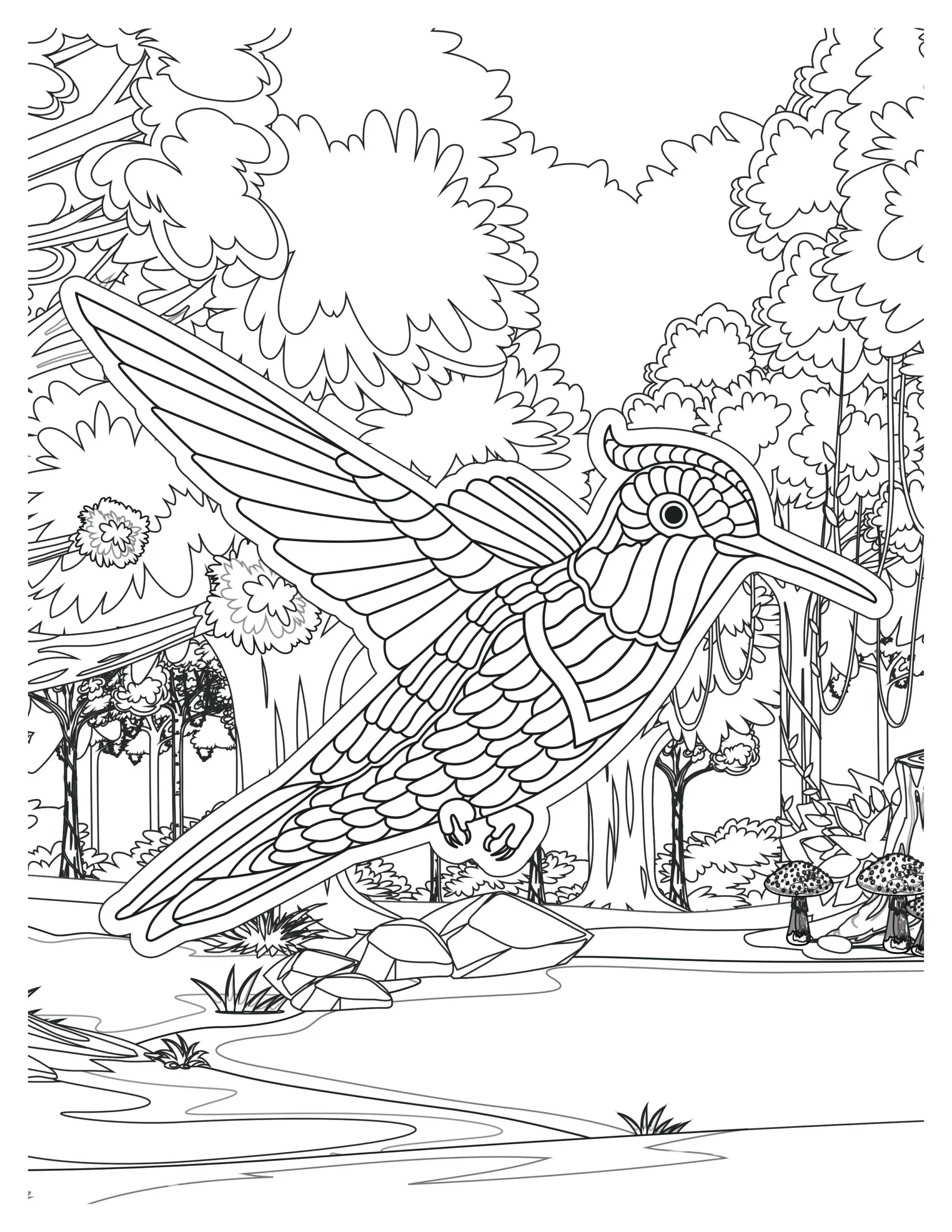 Lovely Hummingbird Coloring Pages