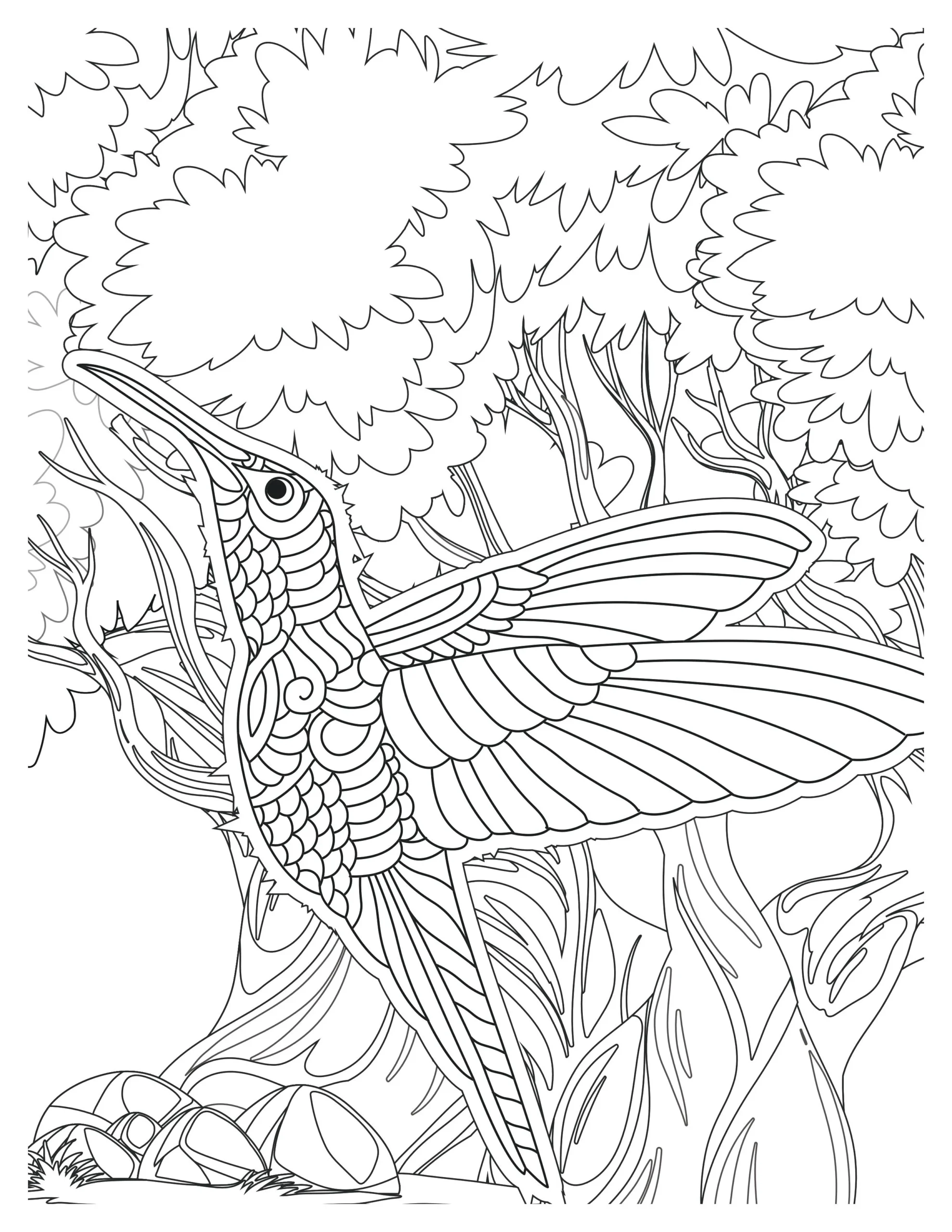 Lovely Hummingbird Coloring Pages