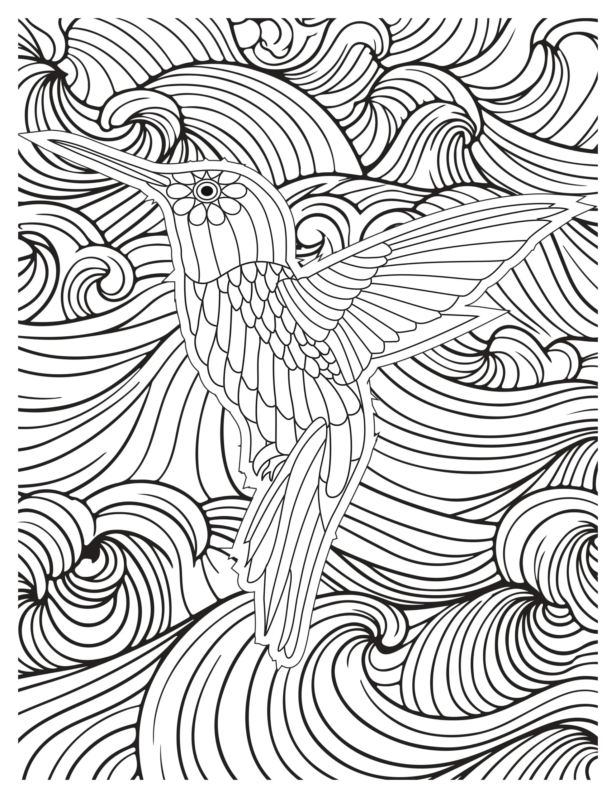 Lovely Hummingbird Coloring Pages