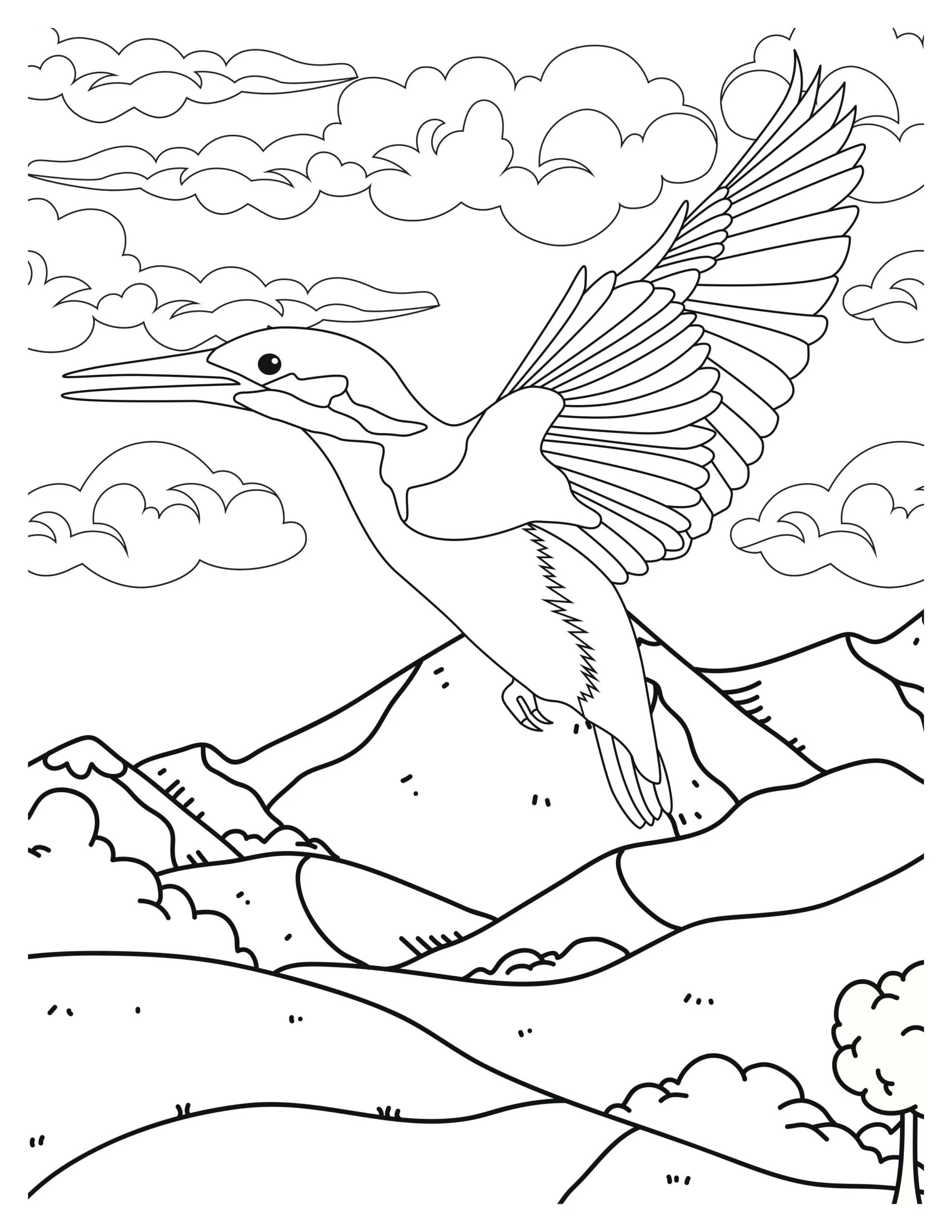 Lovely Hummingbird Coloring Pages