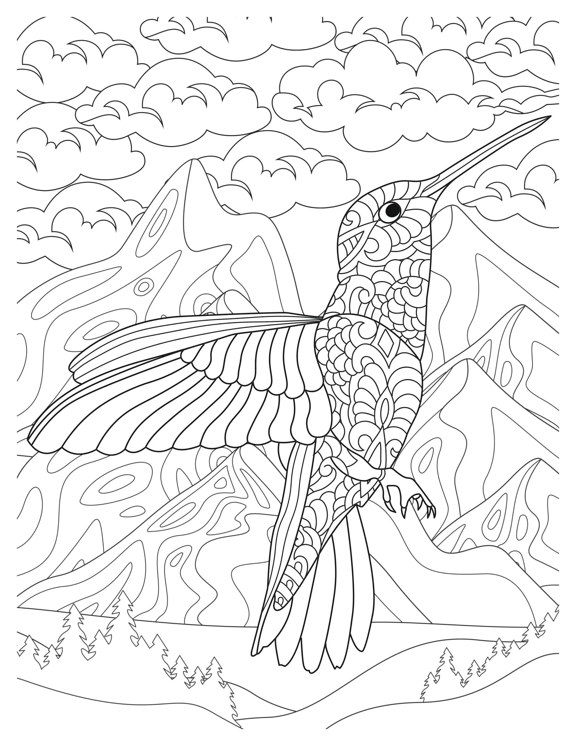 Lovely Hummingbird Coloring Pages