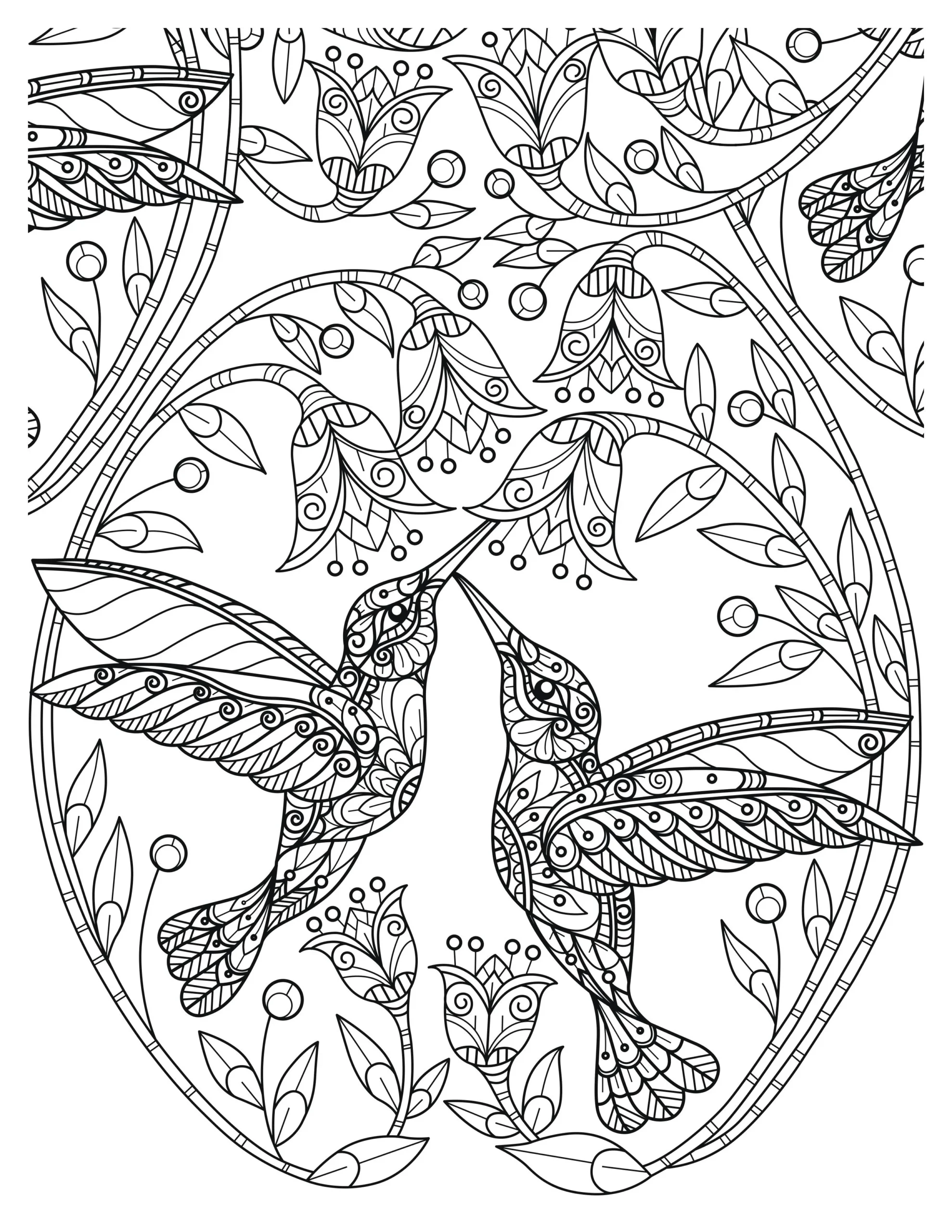 Lovely Hummingbird Coloring Pages