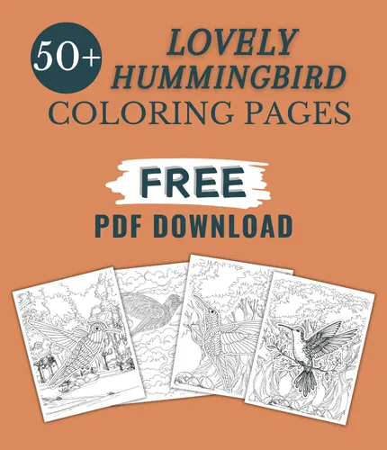 47 Lovely Hummingbird Coloring Pages For Kids & Adults (FREE DOWNLOAD)