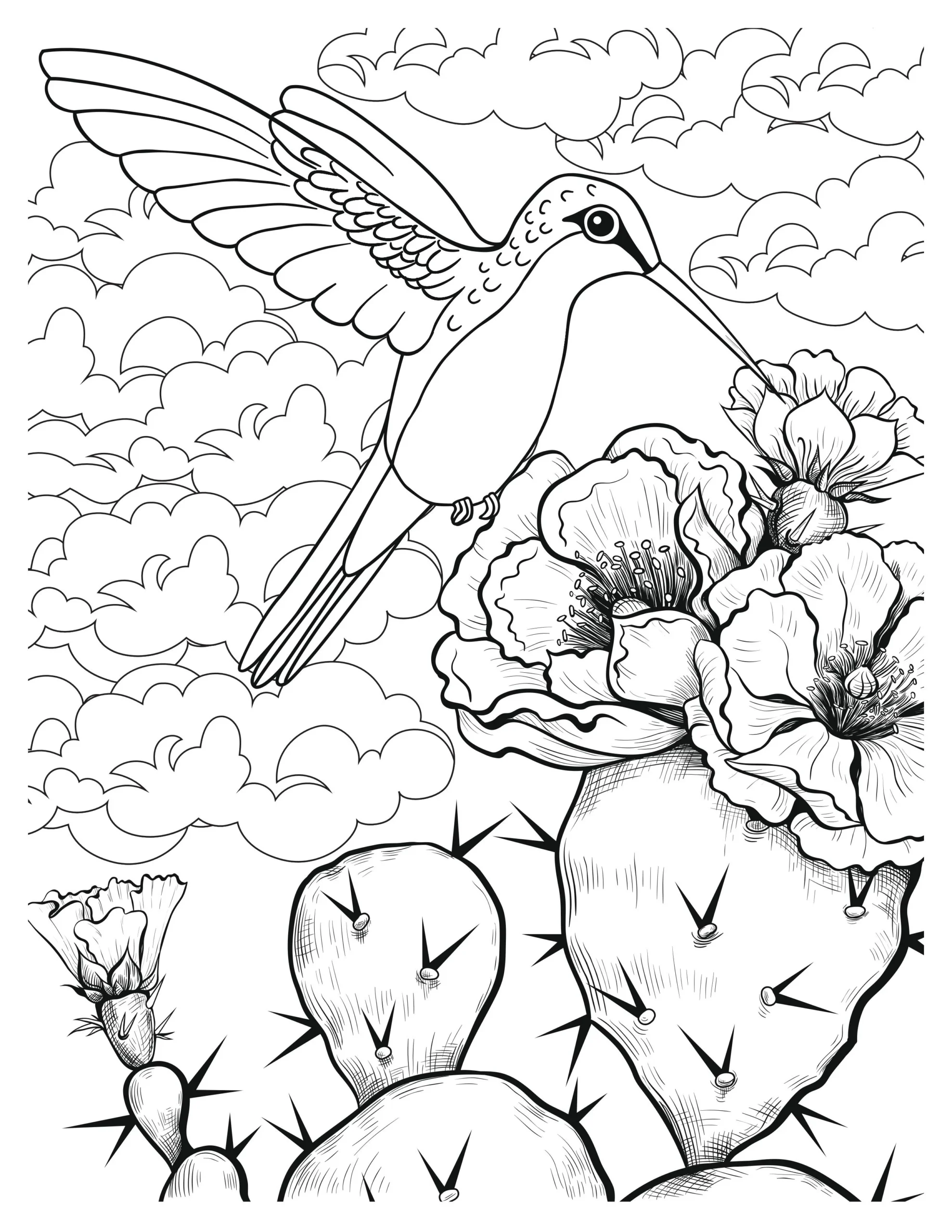 Lovely Hummingbird Coloring Pages