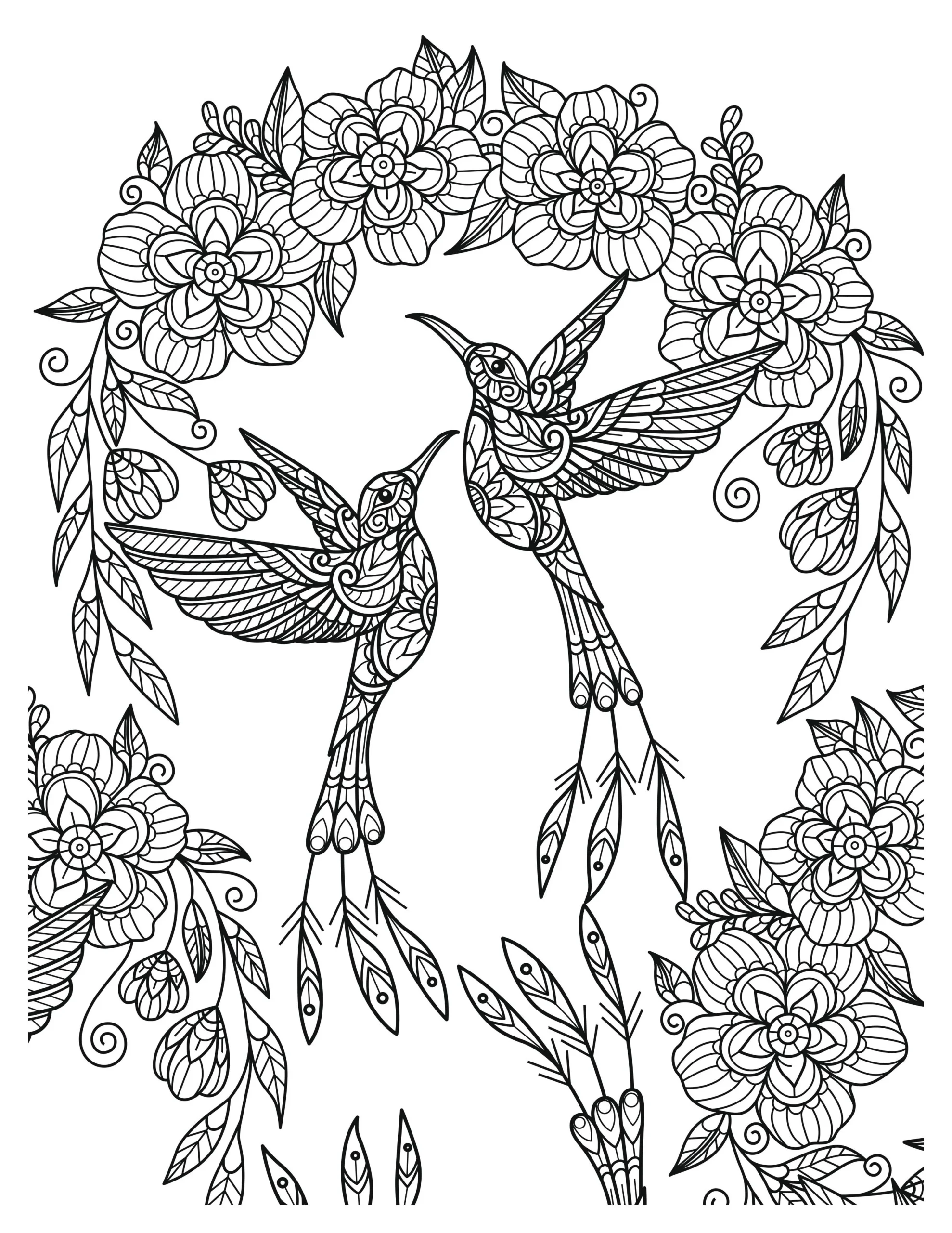 Lovely Hummingbird Coloring Pages