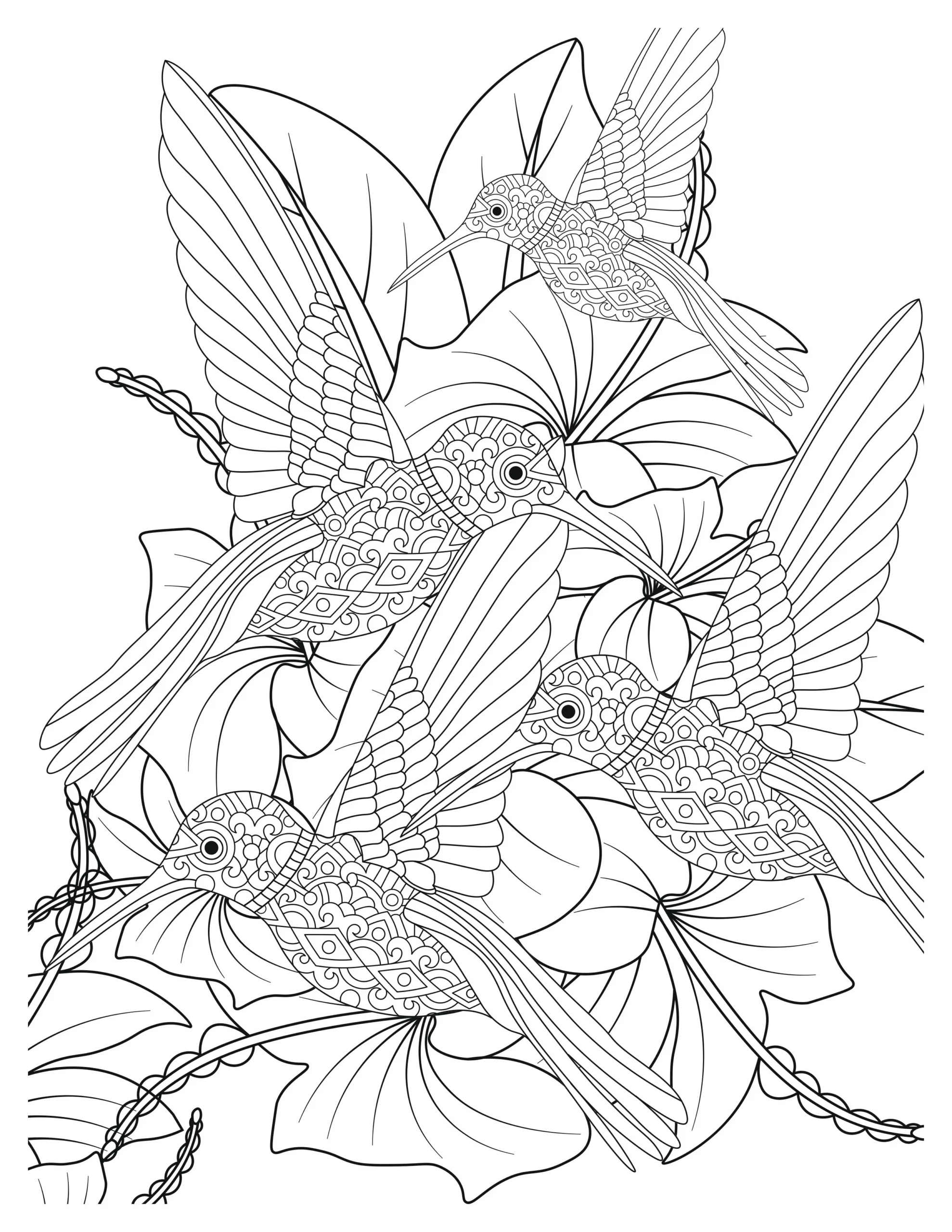 Hummingbird Harmony Trio in Blooms