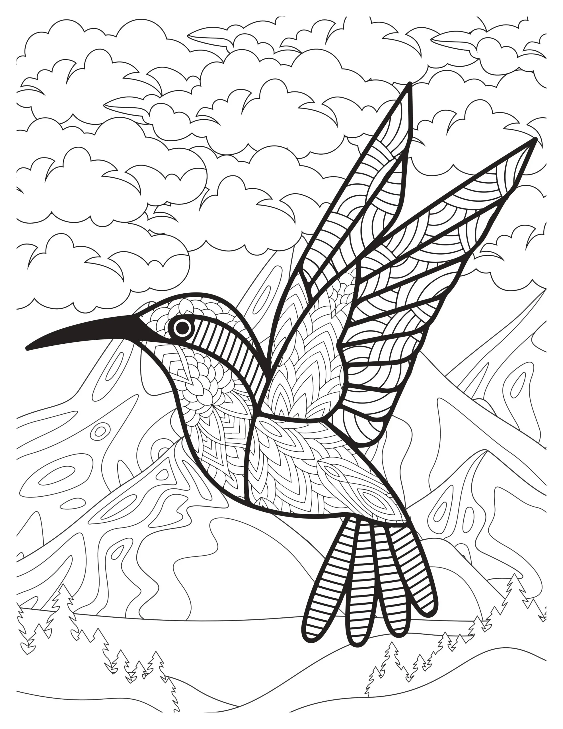 Patterned Hummingbird in Flight