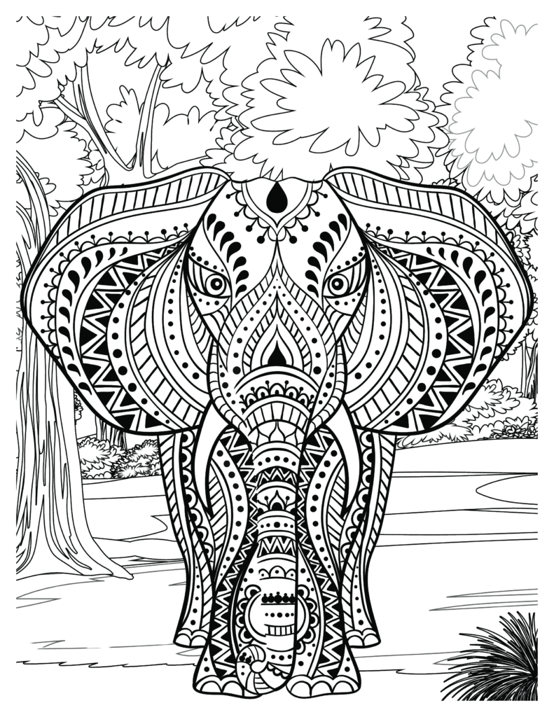 Elephant coloring Patterns