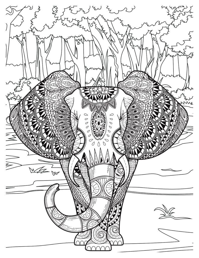 Elephant coloring Patterns