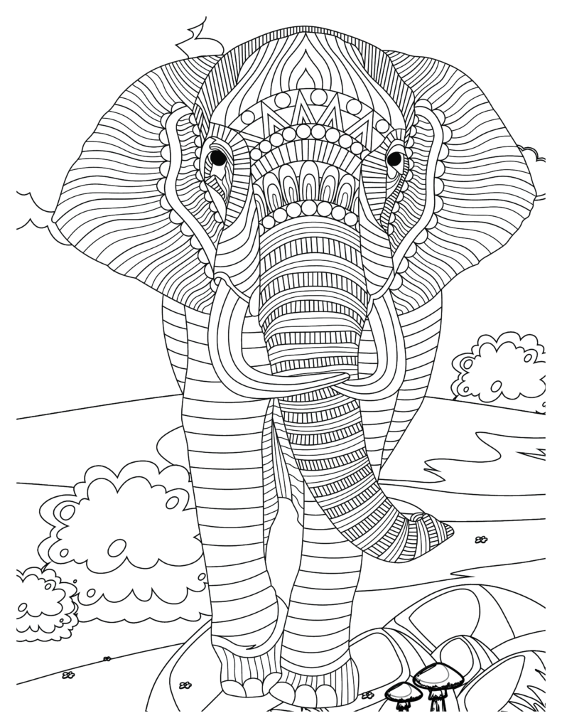 Elephant coloring Patterns