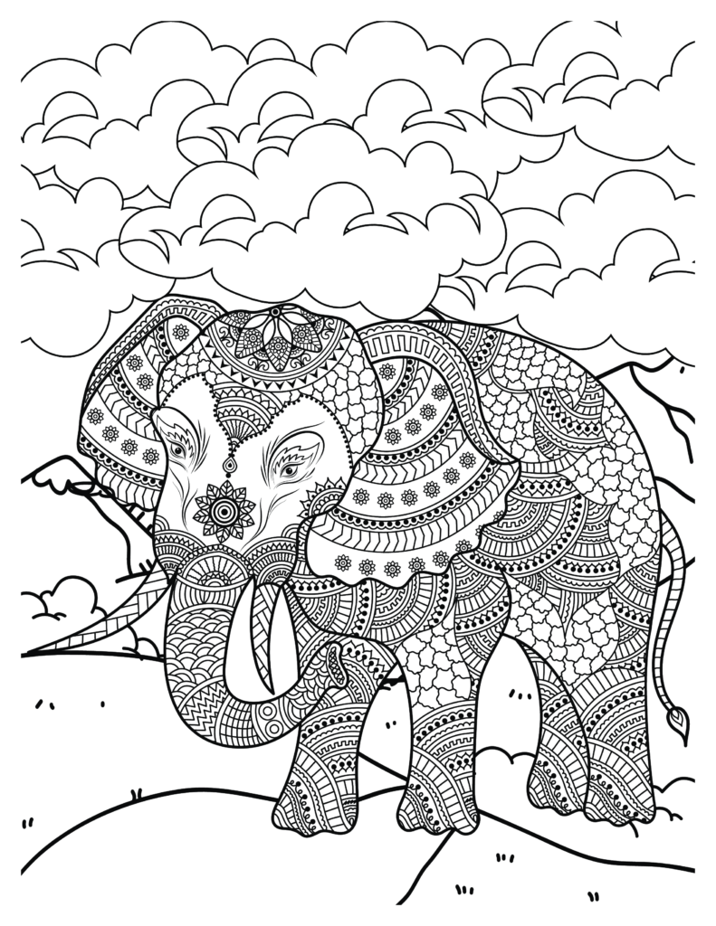 Elephant coloring Patterns