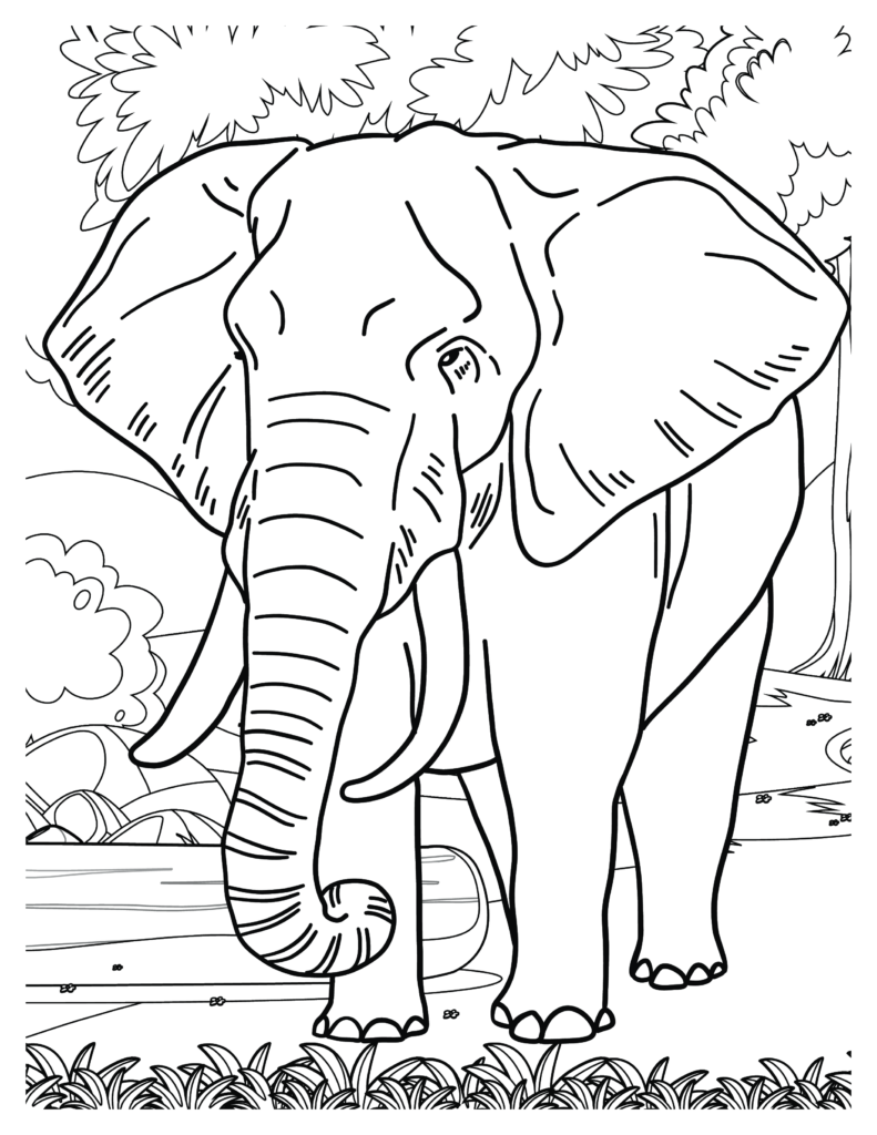 Elephant coloring Patterns