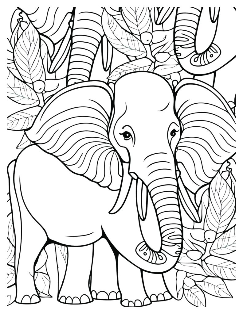 Elephant coloring Patterns