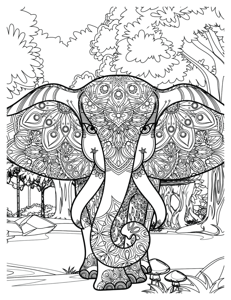 Elephant coloring Patterns