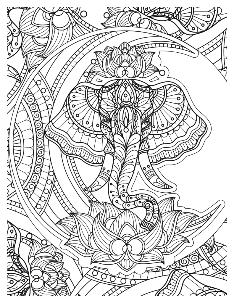 Elephant coloring Patterns