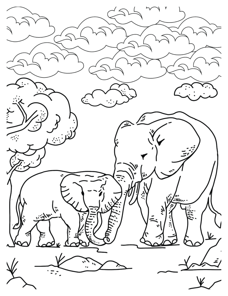 Elephant coloring Patterns