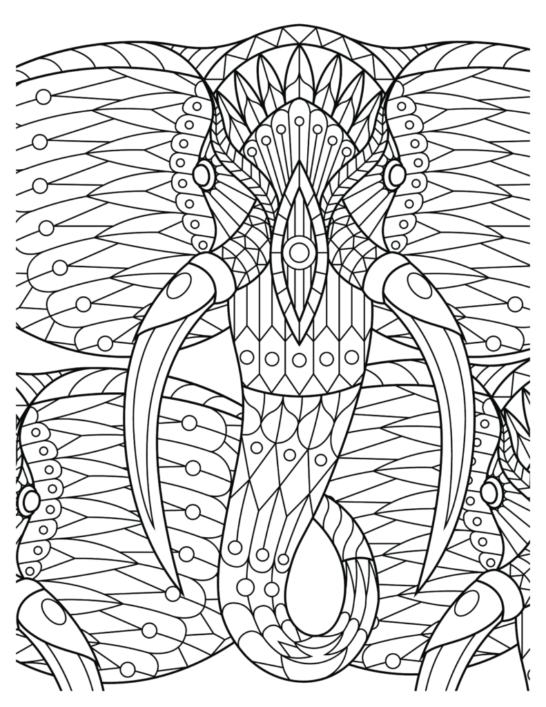 Elephant coloring Patterns