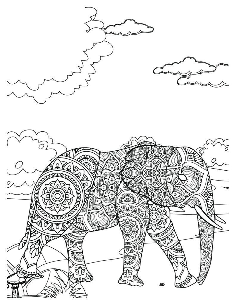 Elephant coloring Patterns