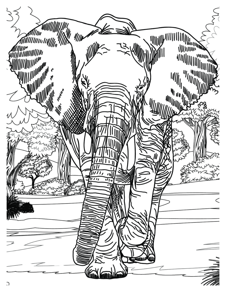 Majestic Elephants Coloring Pages