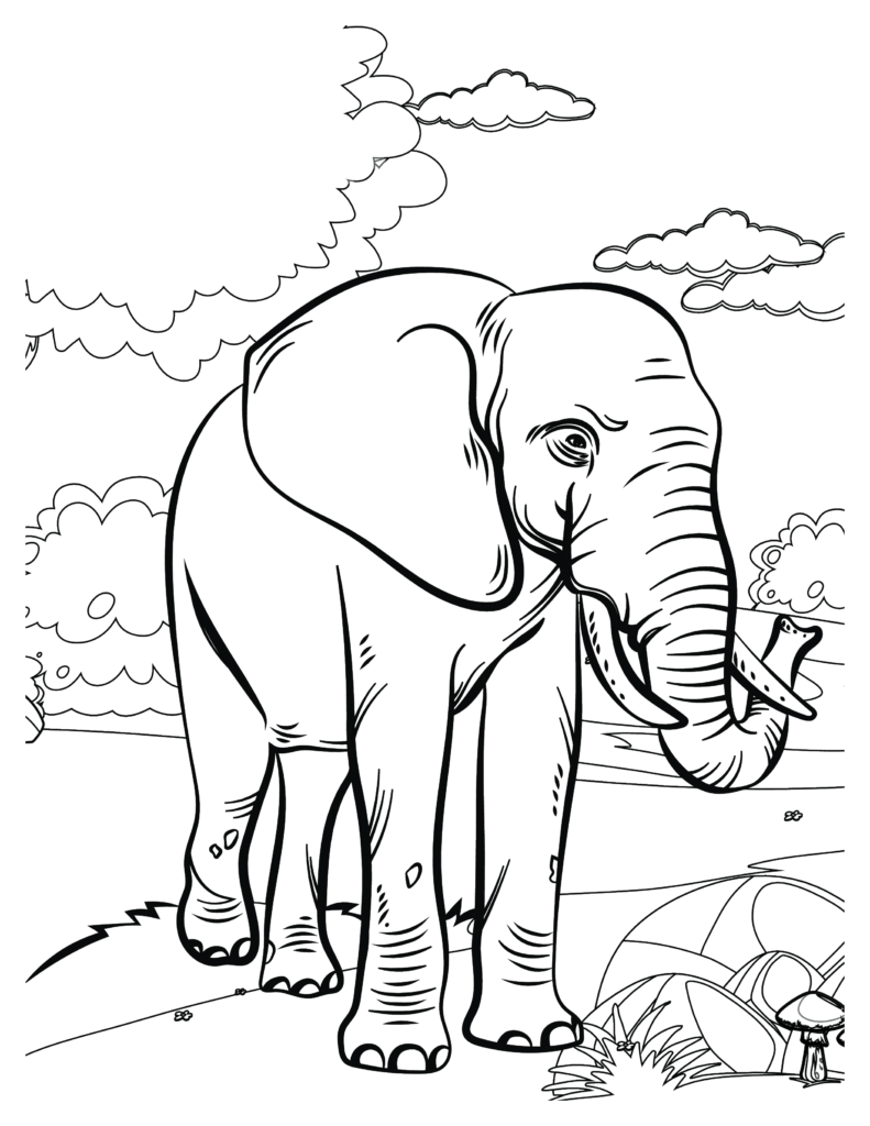 Majestic Elephants Coloring Pages