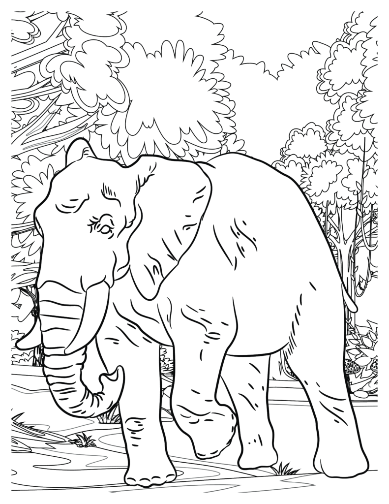 Majestic Elephants Coloring Pages