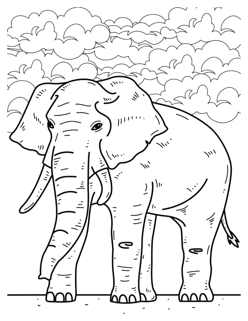 Intricate Elephant coloring Patterns