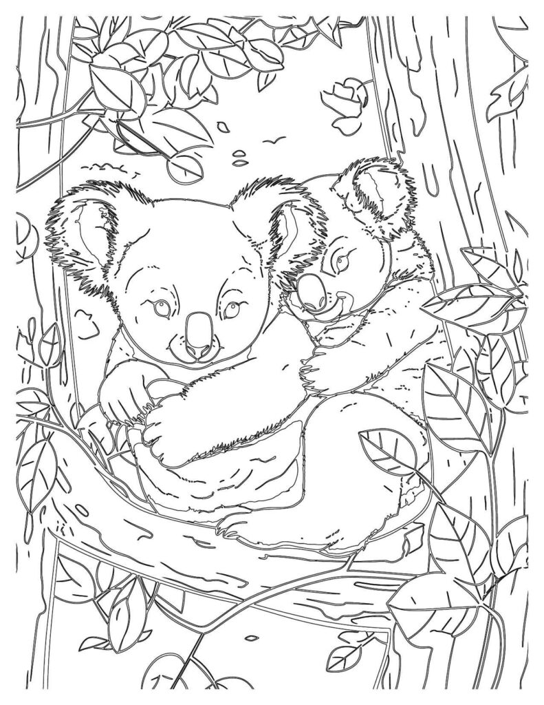 Mother Koala and Baby Koala On Tree 